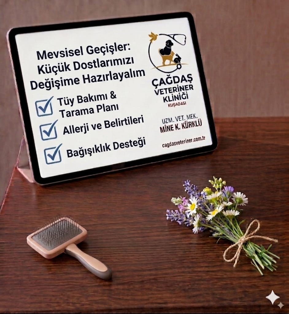 Dostlarımızı Mevsimsel Değişime Hazırlayalım