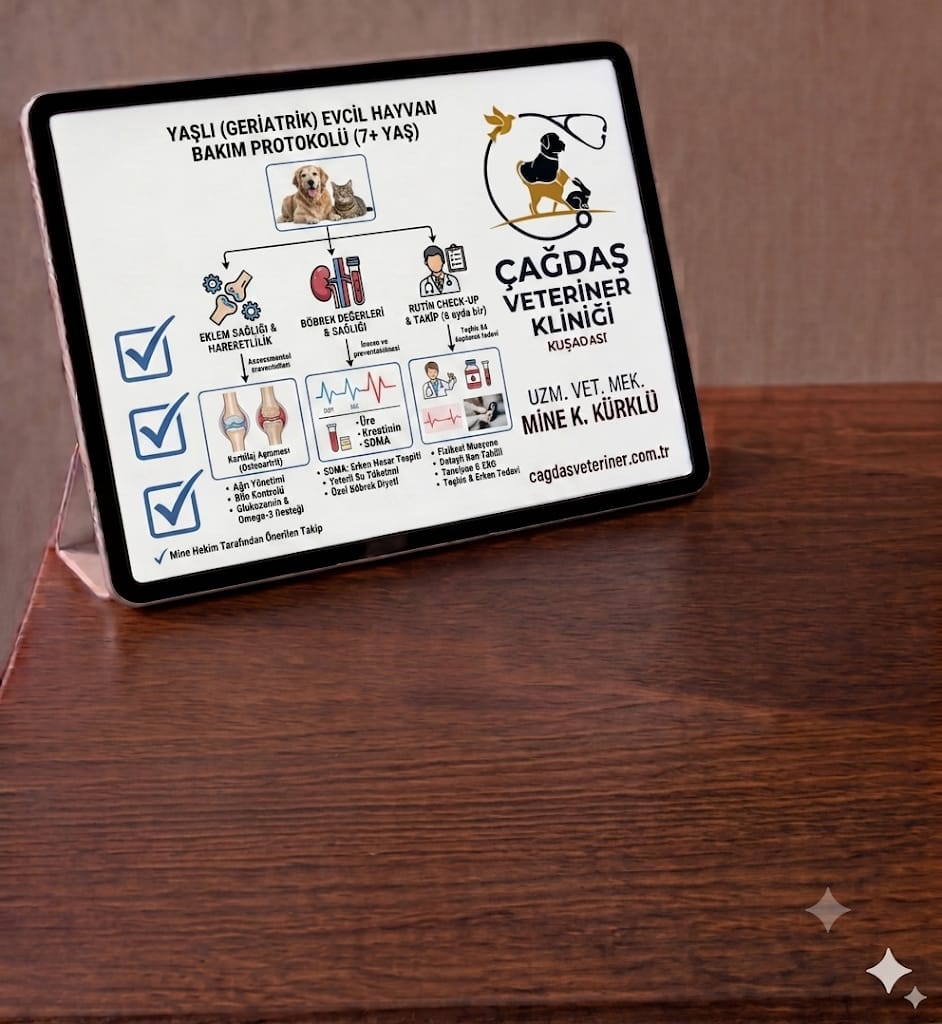Yaşlılık Bir Hastalık Değildir
